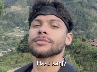 haku_kanjy Zizi X