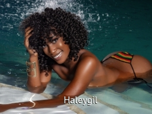 Haleygil
