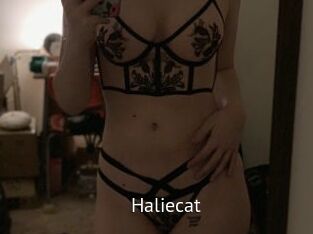 Haliecat