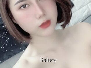 Halucy