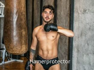 Hamerprotector