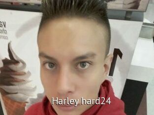 Harley_hard24