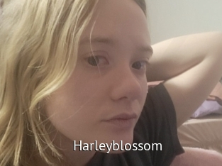 Harleyblossom