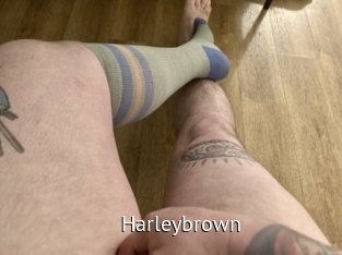 Harleybrown