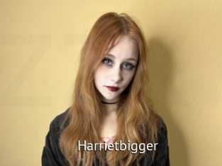 Harrietbigger