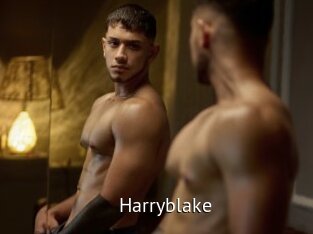 Harryblake