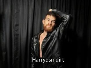 Harrybsmdirt