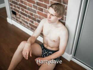 harrydave Zizi X