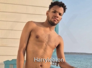 Harrylebron