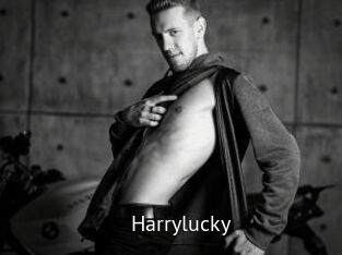 Harrylucky