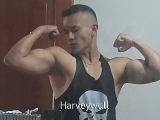 Harveywull
