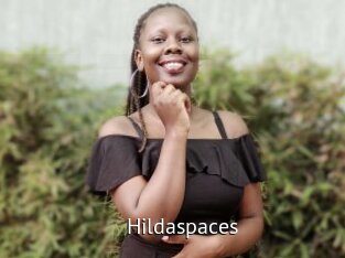 Hildaspaces