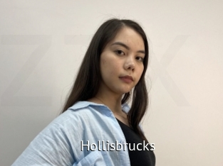 Hollisbrucks