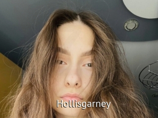 Hollisgarney
