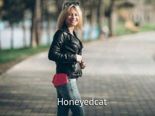 Honeyedcat