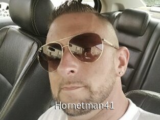 Hornetman41