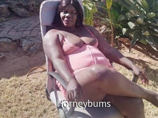 horneybums Zizi X