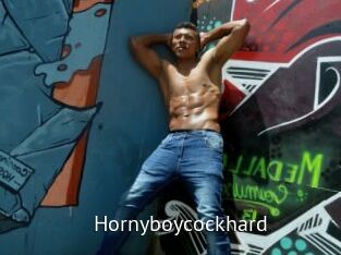 hornyboycockhard Zizi X