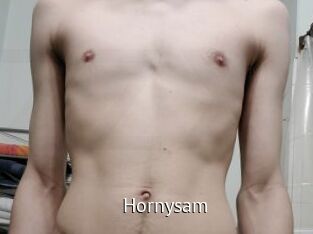Hornysam