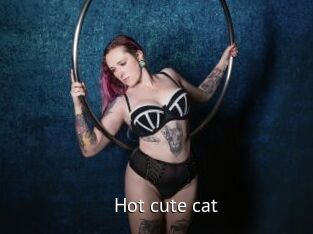 Hot_cute_cat