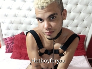 hotboyforyou Zizi X