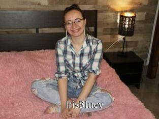 IrisBluey