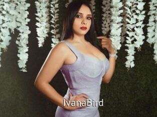 IvanaBird