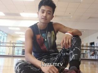 Iam_mrv