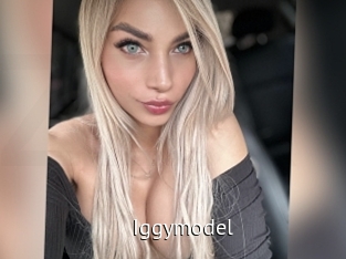 Iggymodel