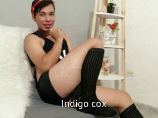 Indigo_cox