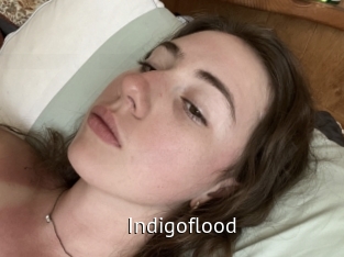 Indigoflood
