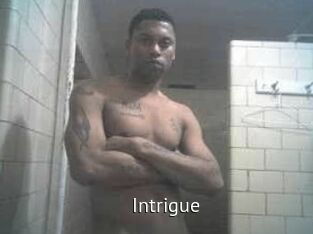 intrigue Zizi X