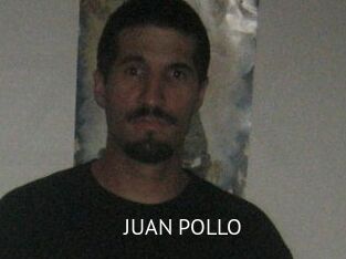 JUAN_POLLO Zizi X