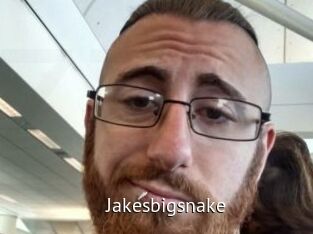 Jakesbigsnake