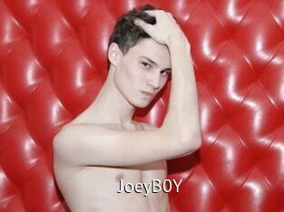 JoeyB0Y