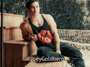 JoeyGoldberg