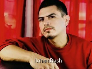 JohanBush