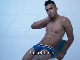JoshBlomer