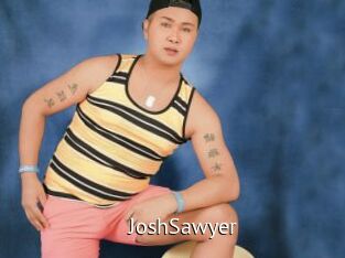 JoshSawyer Zizi X