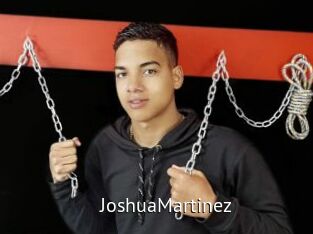 JoshuaMartinez