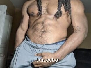 Juiceeboi Zizi X