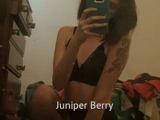 Juniper_Berry