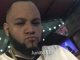 Junito313