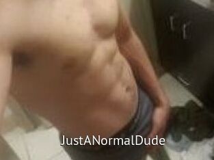 JustANormalDude