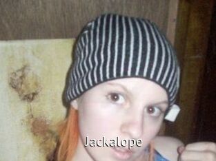 jackalope Zizi X