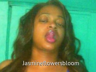 Jasmineflowersbloom