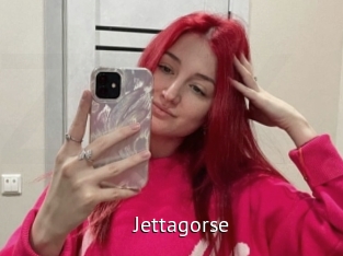 Jettagorse