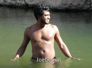 joebernal Zizi X