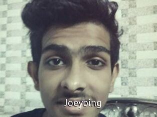 Joeybing