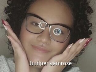 juniper_camrose Zizi X